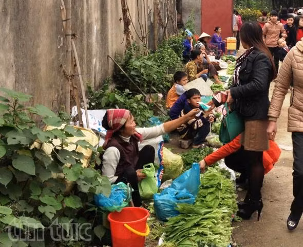 Sau Tết, rau chợ rẻ bất ngờ, siêu thị khan hàng ảnh 1