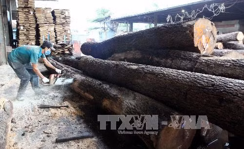 Kim ngạch xuất khẩu gỗ và đồ gỗ Việt Nam đứng đầu khu vực ASEAN ảnh 1
