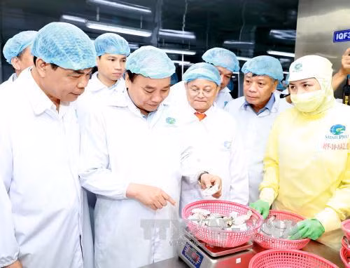 Thủ tướng thăm mô hình chế biến tôm tại Tập đoàn Thủy sản Minh Phú ảnh 1