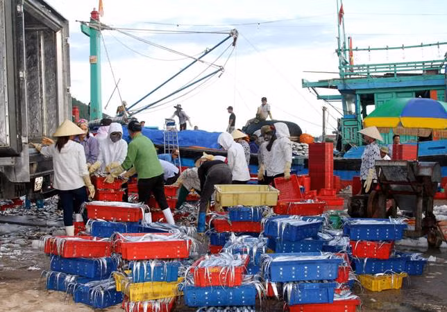 Đầu năm 'khai biển' bội thu ảnh 1