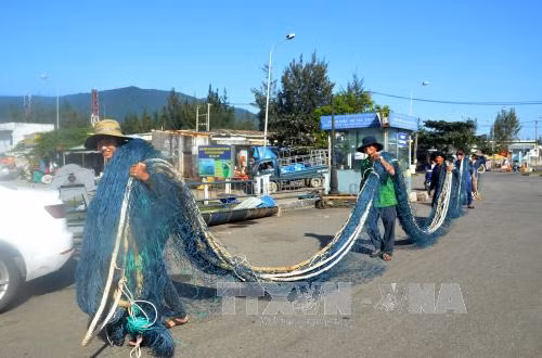 Ngư dân tấp nập vươn khơi ngày đầu năm mới ảnh 1