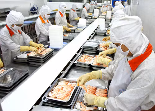 Tín hiệu tích cực đối với xuất khẩu tôm Việt Nam ảnh 1
