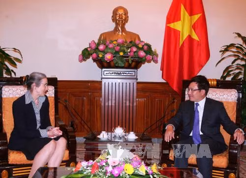 Phó Thủ tướng Phạm Bình Minh tiếp Đại sứ Hà Lan ảnh 1
