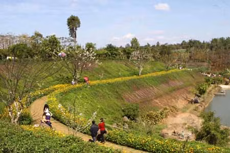 Hàng nghìn du khách về Lễ hội cà phê Buôn Ma Thuột ảnh 4