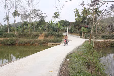 Xuân về ở khu tái định cư Chân Sơn ảnh 2