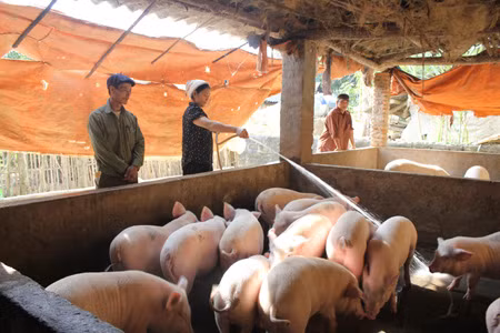 Xuân về ở khu tái định cư Chân Sơn ảnh 1