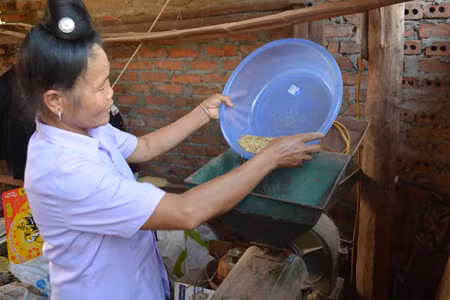 Nữ Bí thư chi bộ tận tụy với công việc ảnh 1