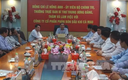 Đồng chí Lê Hồng Anh làm việc tại Cà Mau ảnh 1