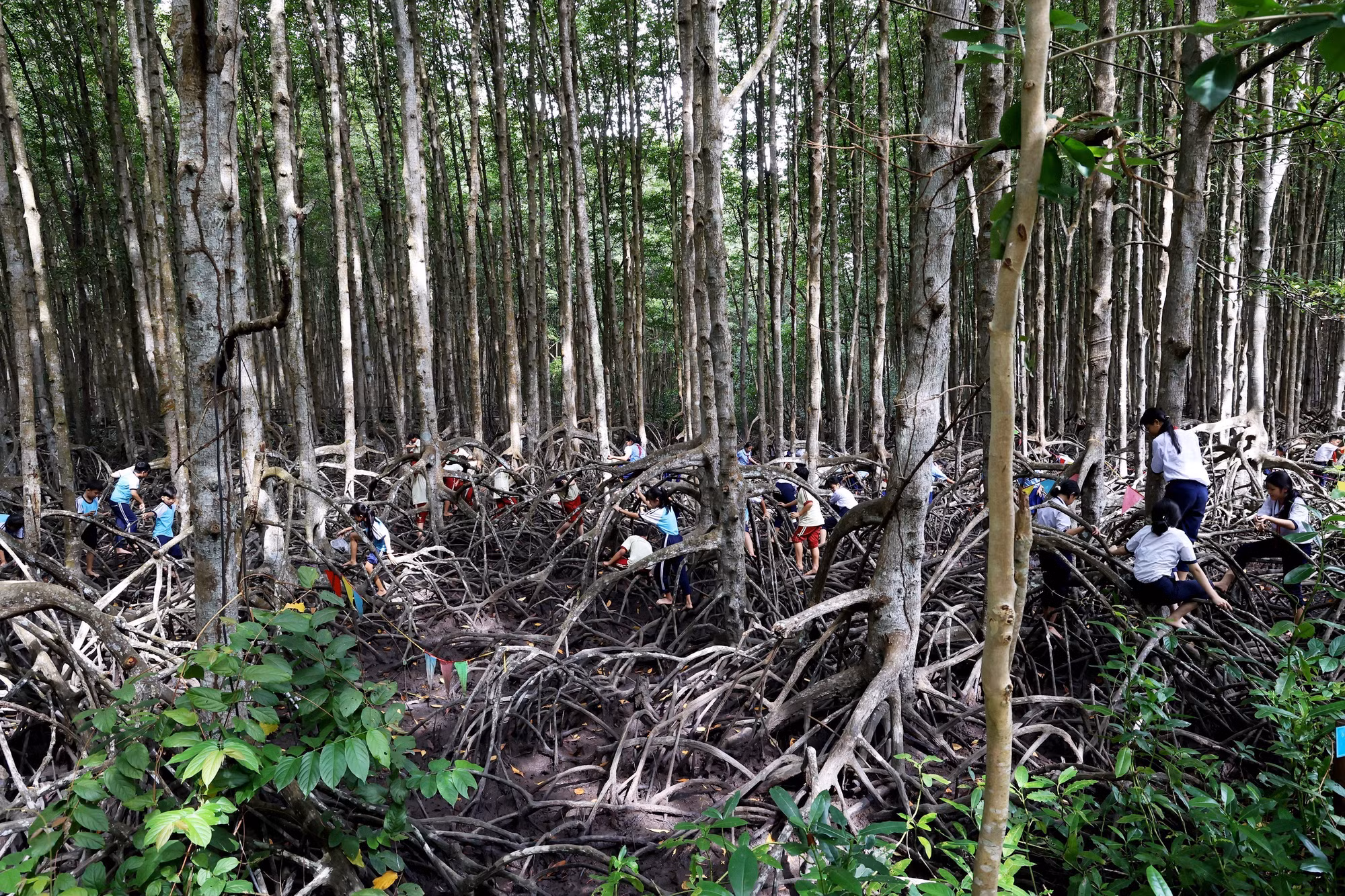 potal-kham-pha-khu-du-tru-sinh-quyen-dau-tien-cua-viet-nam-7882210.jpg
