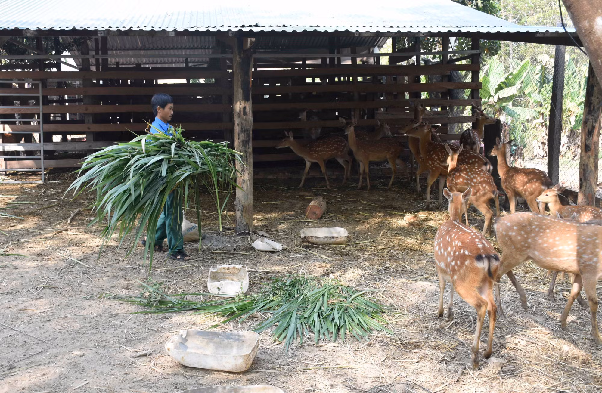 potal-kon-tum-xay-dung-dang-vung-manh-bam-sat-co-so-7877036.jpg