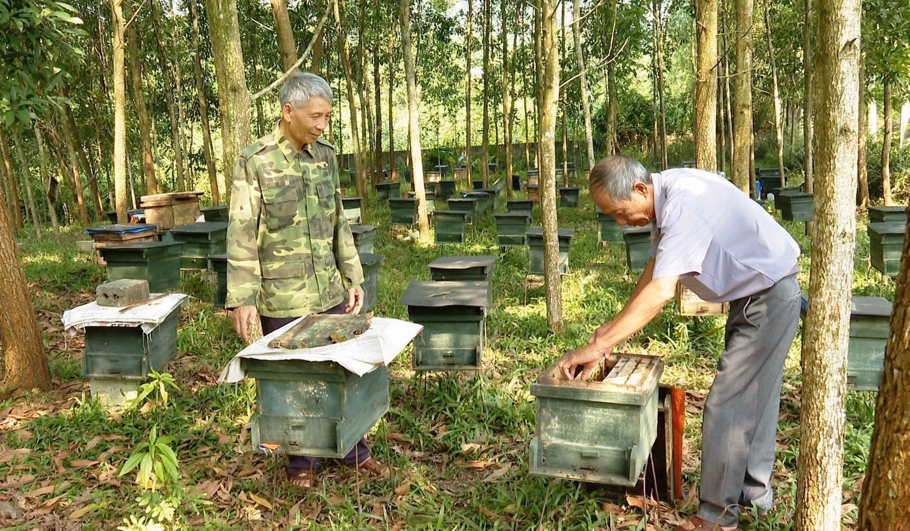 potal-ninh-binh-chu-trong-chuyen-doi-co-cau-cay-trong-vung-dong-bao-dan-toc-thieu-so-7795932.jpg