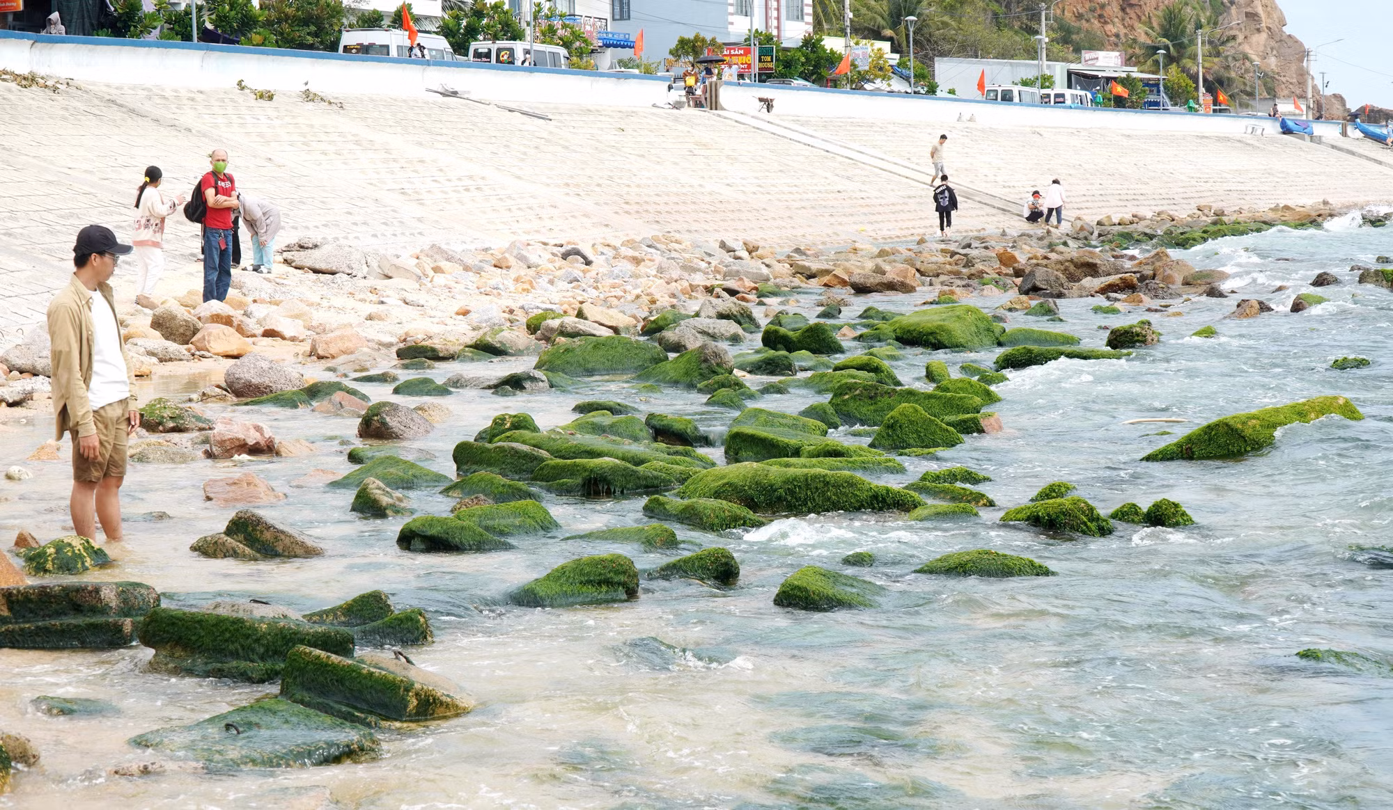 potal-mua-reu-nhon-hai-binh-dinh-7859879.jpg