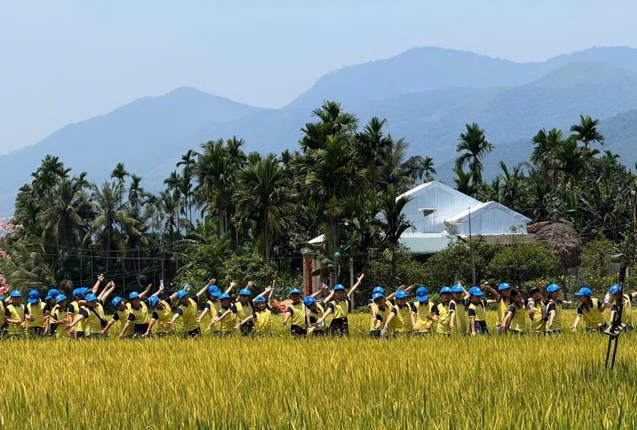 potal-quang-ngai-no-luc-phat-trien-cong-dong-nong-nghiep-nong-thon-7976316.jpg