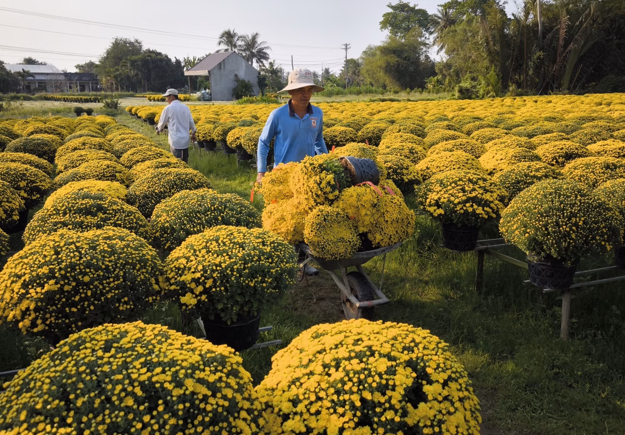 potal-vuong-quoc-hoa-kieng-nhon-nhip-ngay-can-tet-at-ty-2025-7819904.jpg