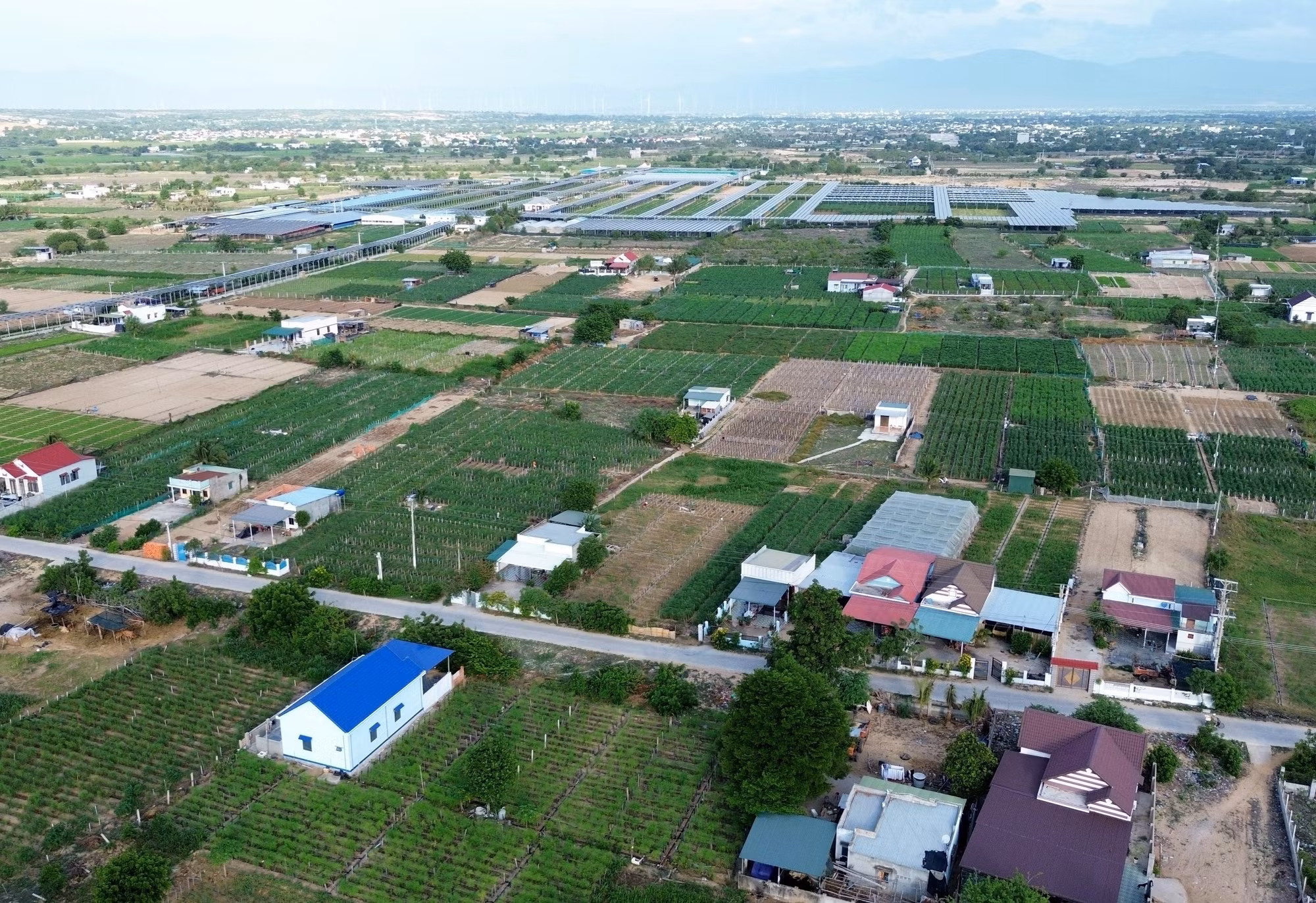potal-ninh-thuan-day-manh-phat-trien-kinh-te-xa-hoi-vung-dong-bao-dan-toc-thieu-so-va-mien-nui-7805977.jpg