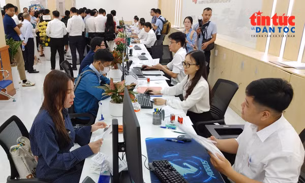TP Hồ Chí Minh đánh giá cán bộ bằng kết quả số hóa hồ sơ