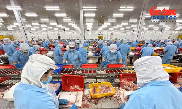 Doanh nghiệp Việt nâng năng lực, gỡ khó để bám chắc thị trường Hoa Kỳ
