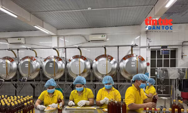 Doanh nhân chủ động đưa Nghị quyết 57 vào sản xuất
