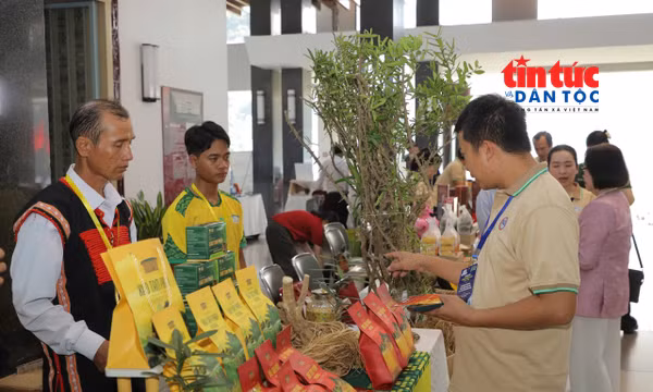 Nâng giá trị tài nguyên bản địa, tạo sinh kế bền vững