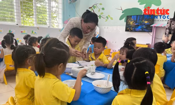 Giữ an toàn suất ăn học đường - Bài 1: Kiểm soát nguyên liệu từ nguồn