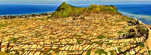 Một thoáng Lý Sơn ảnh 4
