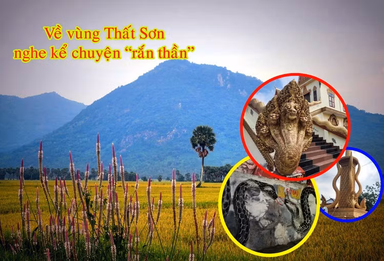 Núi Cấm nằm trong vùng Thất Sơn An Giang và là ngọn núi cao nhất miền Tây Nam Bộ với độ cao 716m. Ngoài ra, núi Cấm còn được mệnh danh là nóc nhà của Đồng bằng sông Cửu Long. Ngay từ thời xa xưa, Núi Cấm đã được xem như một ngọn núi linh thiêng với nhiều câu chuyện, truyền thuyết ly kỳ mang màu sắc huyền thoại. 