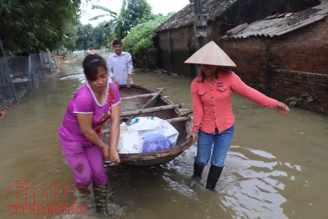 Người dân Chương Mỹ vẫn vật lộn trong ngập lụt và ô nhiễm ảnh 12