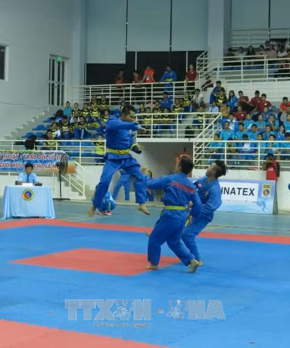 TP Hồ Chí Minh nhất toàn đoàn giải Vovinam vô địch quốc gia năm 2017 ảnh 1