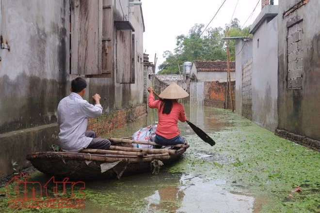 Người dân Chương Mỹ vẫn vật lộn trong ngập lụt và ô nhiễm ảnh 13