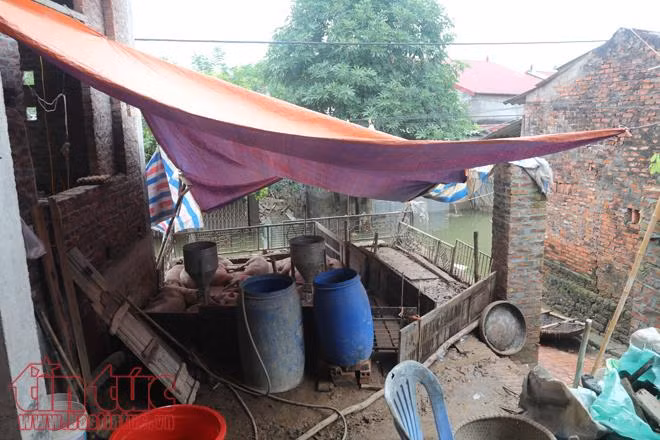 Người dân Chương Mỹ vẫn vật lộn trong ngập lụt và ô nhiễm ảnh 6