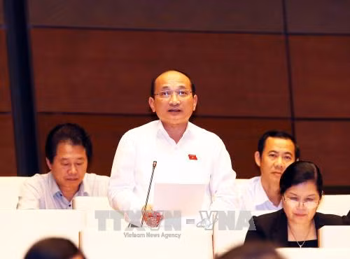 Cân nhắc mô hình tổ chức cơ quan kiểm ngư ảnh 1
