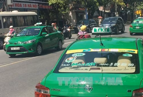 Hợp lực để tạo thế cạnh tranh trong lĩnh vực taxi ảnh 2