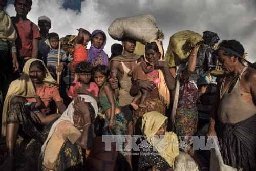 Bangladesh cho nhập cảnh 10.000 người Rohingya kẹt ở biên giới ảnh 1