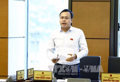 Nâng cao hiệu quả hoạt động của cơ quan đại diện Việt Nam ở nước ngoài ảnh 1