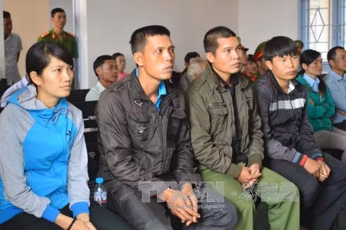 Đắk Nông trả hồ sơ điều tra bổ sung vụ xô xát tranh chấp đất rừng ảnh 1