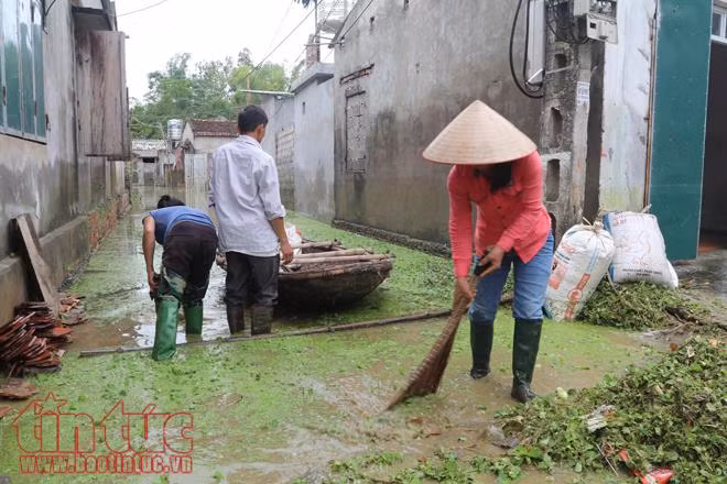 Người dân Chương Mỹ vẫn vật lộn trong ngập lụt và ô nhiễm ảnh 23