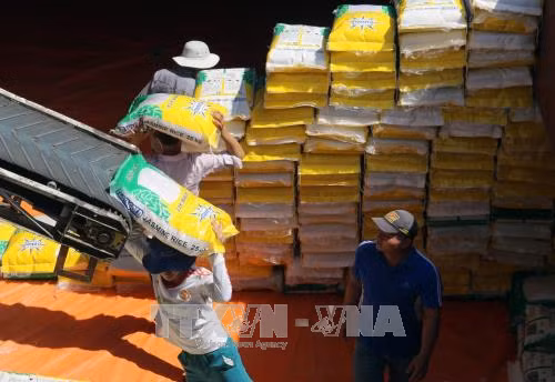 Kiến tạo môi trường cho doanh nghiệp tư nhân phát triển ảnh 1