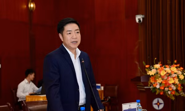 Ông Luân Quốc Hưng Phó Tổng Giám đốc EVNHCMC