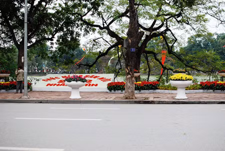 Một Hà Nội đẹp và yên tĩnh trước giao thừa ảnh 9