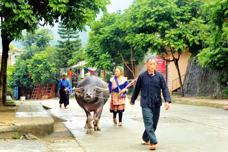 Sắc màu chợ vùng cao ảnh 1