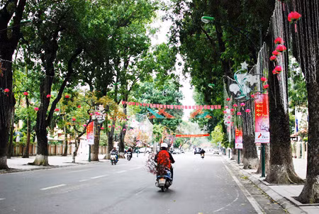 Một Hà Nội đẹp và yên tĩnh trước giao thừa ảnh 11