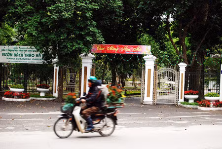 Một Hà Nội đẹp và yên tĩnh trước giao thừa ảnh 1