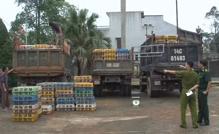 Quảng Ninh bắt 6,8 tấn gà lậu Trung Quốc ảnh 1