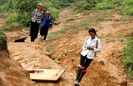 Vấn nạn khai thác gỗ lậu ở rừng Hoàng Liên ảnh 2