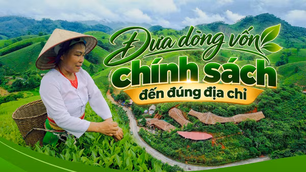 Đưa dòng vốn chính sách đến đúng địa chỉ