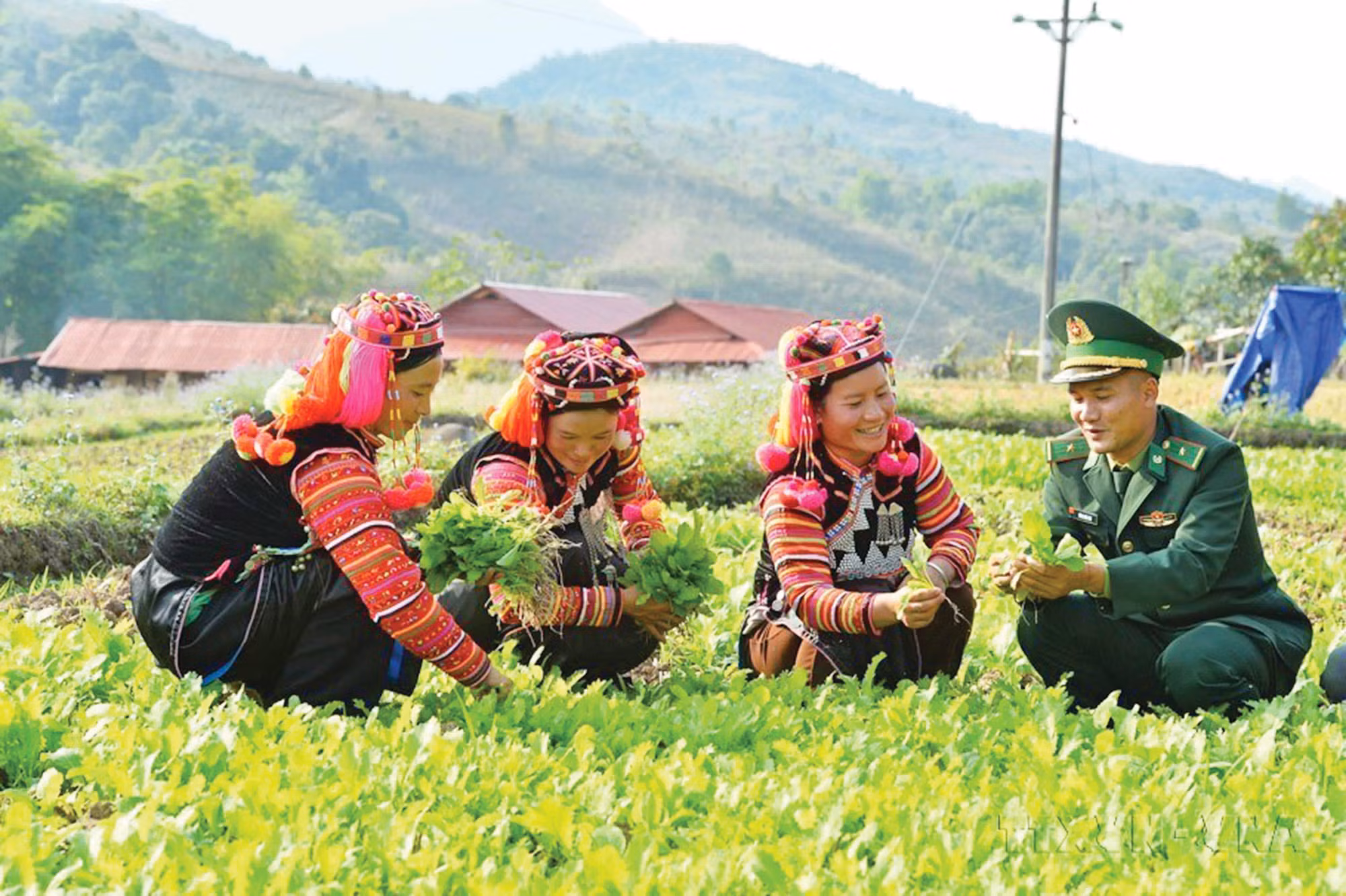 3-bo-doi-cu-ho-minh-duc-dien-bien.jpg