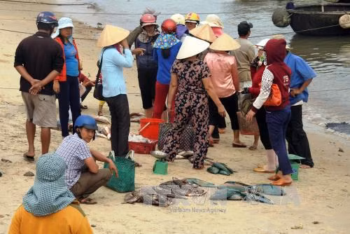 Người dân hoang mang khi cá chết hàng loạt ven biển ảnh 1