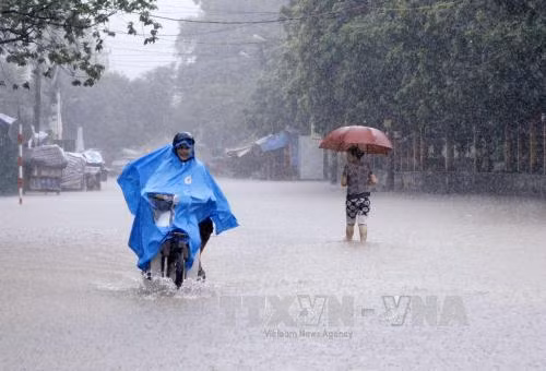 Gần 1.000 ha lúa, hoa màu Thái Nguyên chìm trong mưa lũ ảnh 1