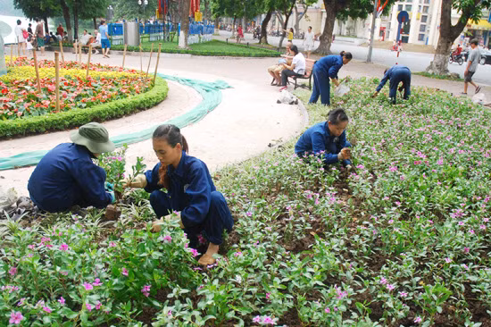 Hà Nội tưng bừng chuẩn bị lễ Kỷ niệm 70 năm Quốc khánh ảnh 4