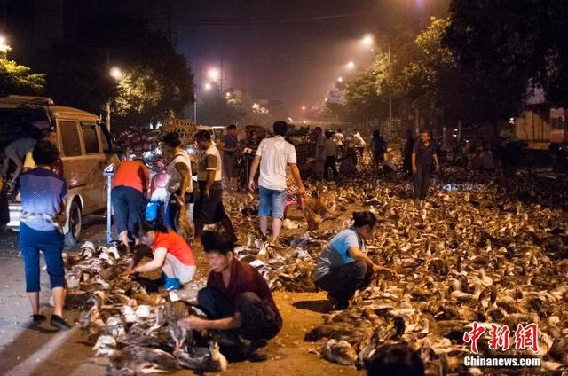 Trung Quốc mịt mù khói vàng mã mùa lễ Vu Lan ảnh 8